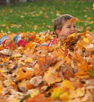 Boy in leaf pile Stock Photos