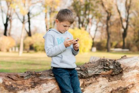 Boy leaning against tree trunk playing on mobile device in the park Stock Photos