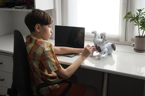 Boy learning engineering, repairing robot dog with laptop Stock Photos