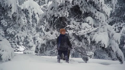 Boy looking around in the snowy forest. Stock Footage 167492588