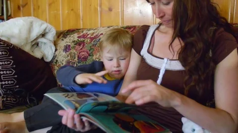Boy looking in book with mother Stock Footage 80621546