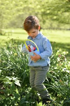 A boy looking for eggs in a bag for Easter Stock-Fotos