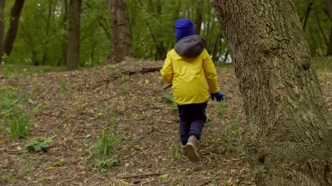 A boy is looking for firewood Stock Footage 161401401