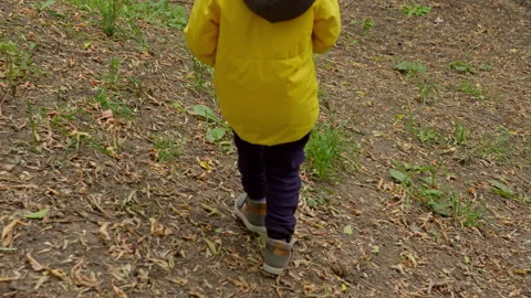 A boy is looking for firewood Stock Footage 161401571