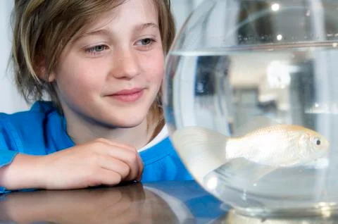 Boy looking at fish in aquarium Stock Photos