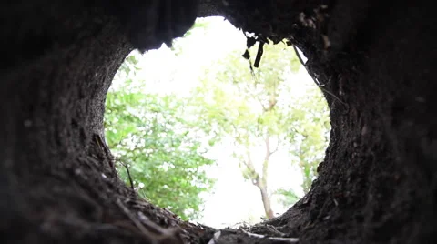 Boy looking in the hole 库存影片 59528396