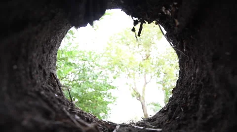 Boy looking in the hole Stock Footage 60580242