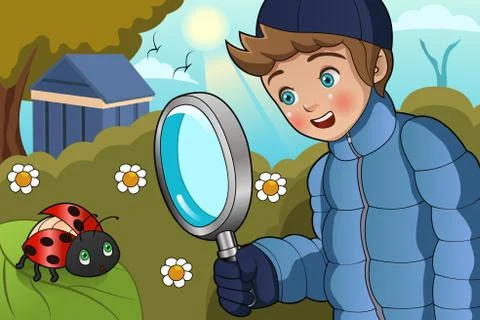 Boy Looking at Ladybug Stock Illustration