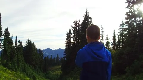 Boy looking at the nature Stock Footage 287142534