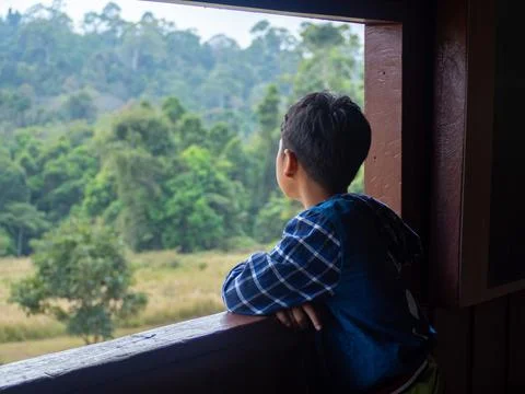 Boy looking out window looking at the green forest Stock Photos