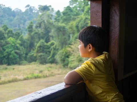 Boy looking out window looking at the green forest Stock Photos
