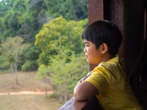 Boy looking out window looking at the green forest Stock Photos