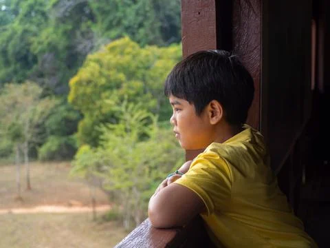 Boy looking out window looking at the green forest Stock Photos