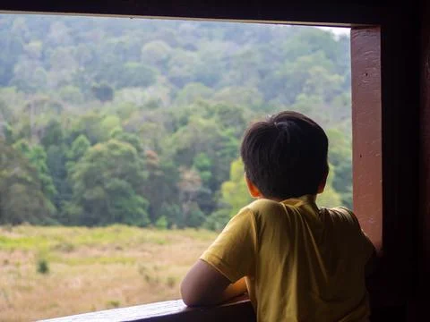 Boy looking out window looking at the green forest Stock Photos