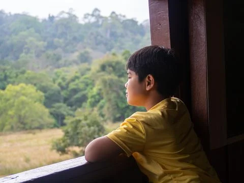 Boy looking out window looking at the green forest Stock-Fotos