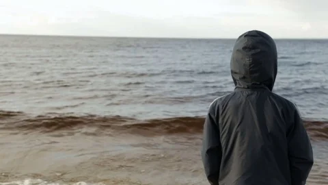 Boy looking at the sea, rear view Stock Footage 76940178
