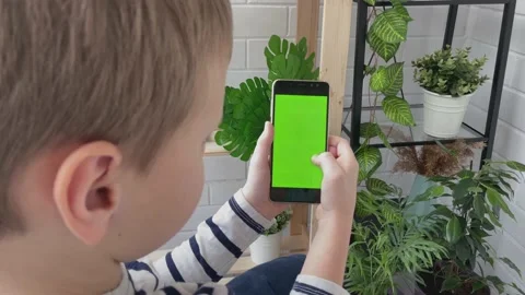 The boy is looking into a smartphone with a green screen. Stock Footage 172211122