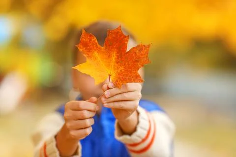 The boy looking through the hole heart-shaped in the maple leaf. Stock Photos