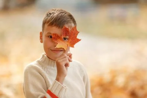The boy looking through the hole heart-shaped in the maple leaf. Stock Photos