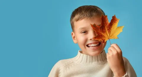 The boy looking through the maple leaf. Stock Photos