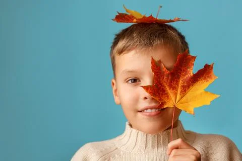 The boy looking through the maple leaf. Stock Photos