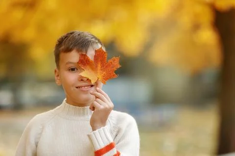 The boy looking through the maple leaf. Stock Photos