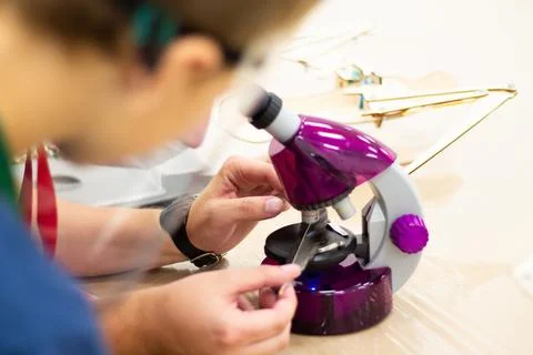 Boy looking through a purple microscope at a bird feather, at a children's sc Stock Photos