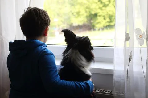 Boy looking at the window hugging his dog Stock-Fotos