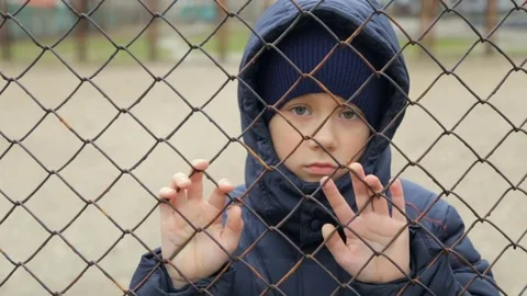 The boy looks at the camera through the grid. The child's portrait Stock Footage 84085578