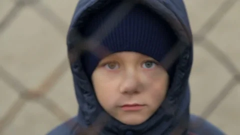 The boy looks at the camera through the grid. The child's portrait Stock Footage 84085728