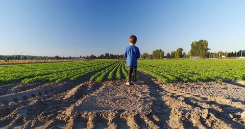 Boy looks at the field Stock Footage 95730760