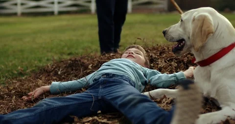 Boy lying on autumn leaves. Vidéo 88373261