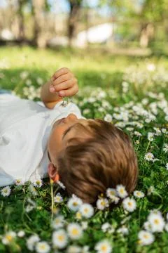 Boy Lying in Daisy Field and Holding Wildflower Stock Photos