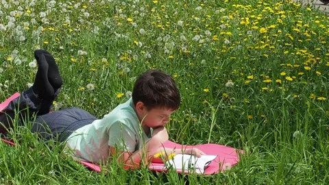 Boy  lying on green grass and reading book in park on summer clear day. Stock Footage 274165880