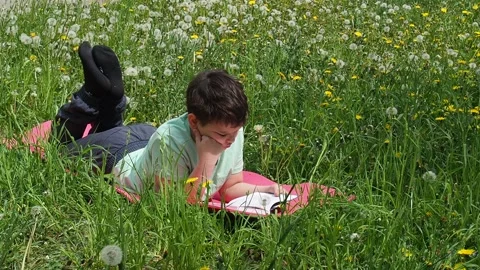 Boy  lying on green grass and reading book in park on summer clear day. Stock Footage 274165926