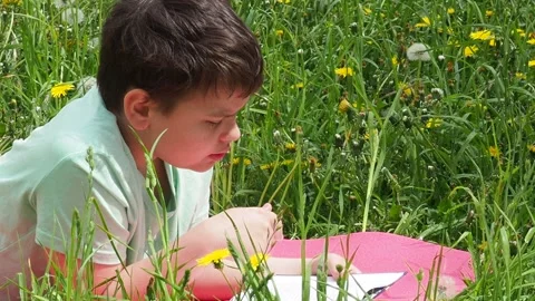 Boy  lying on green grass and reading book in park on summer clear day. Stock Footage 274165995