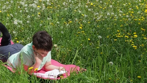 Boy  lying on green grass and reading book in park on summer clear day. Stock Footage 274165996