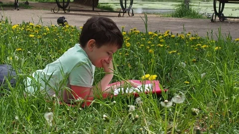 Boy  lying on green grass and reading book in park on summer clear day. Stock Footage 274166126