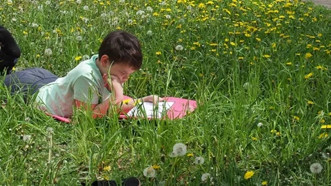Boy  lying on green grass and reading book in park on summer clear day. Stock Footage 274166127