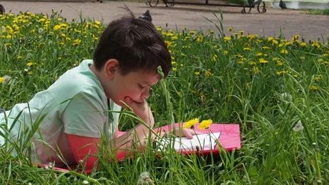 Boy  lying on green grass and reading book in park on summer clear day. Stock Footage 274166132