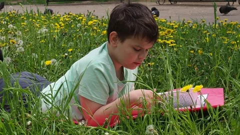 Boy  lying on green grass and reading book in park on summer clear day. Stock Footage 274166247