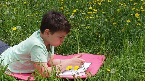 Boy  lying on green grass and reading book in park on summer clear day. Stock Footage 274166406