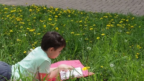 Boy  lying on green grass and reading book in park on summer clear day. Stock Footage 274166438
