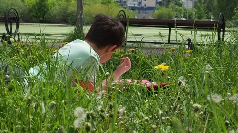 Boy  lying on green grass and reading book in park on summer clear day. Stock Footage 274166470