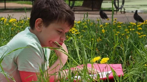 Boy  lying on green grass and reading book in park on summer clear day. Stock Footage 274166734