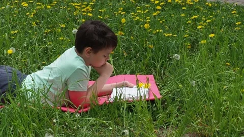 Boy  lying on green grass and reading book in park on summer clear day. Stock Footage 274166880