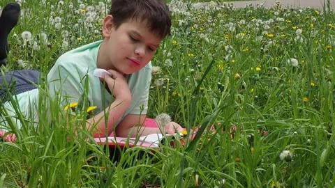 Boy  lying on green grass and reading book in park on summer clear day. Stock Footage 274166965