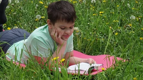 Boy  lying on green grass and reading book in park on summer clear day. Stock Footage 274167163