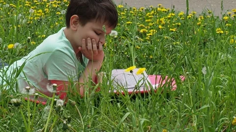 Boy  lying on green grass and reading book in park on summer clear day. Stock Footage 274167220