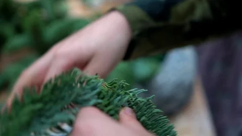 Boy makes christmas composition with fir-tree branches, close-up Stock-Footage 85282806